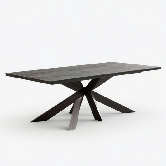 Rechteckiger Esstisch Dunkelgrau/Schwarz 200 x 100 x 75 cm